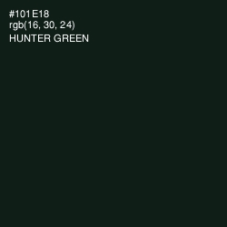 #101E18 - Hunter Green Color Image
