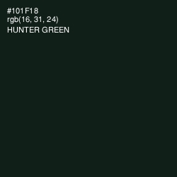 #101F18 - Hunter Green Color Image