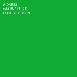 #10AB33 - Forest Green Color Image