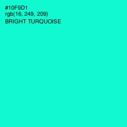 #10F9D1 - Bright Turquoise Color Image