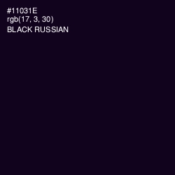 #11031E - Black Russian Color Image