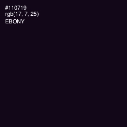 #110719 - Ebony Color Image