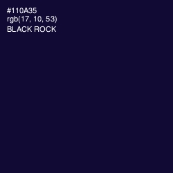 #110A35 - Black Rock Color Image