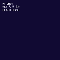 #110B34 - Black Rock Color Image
