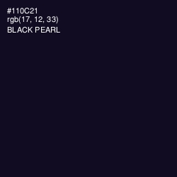 #110C21 - Black Pearl Color Image