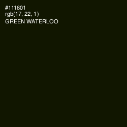 #111601 - Green Waterloo Color Image