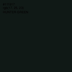 #111917 - Hunter Green Color Image