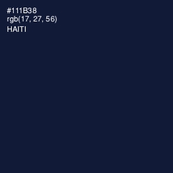 #111B38 - Haiti Color Image