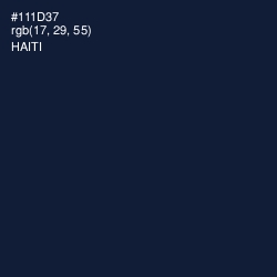#111D37 - Haiti Color Image