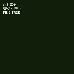 #111E09 - Pine Tree Color Image