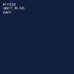 #111E3E - Haiti Color Image