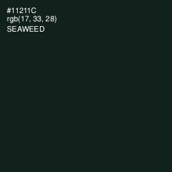 #11211C - Seaweed Color Image
