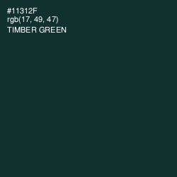 #11312F - Timber Green Color Image