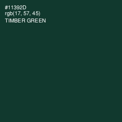 #11392D - Timber Green Color Image