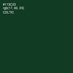 #113C23 - Celtic Color Image