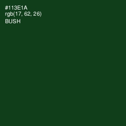 #113E1A - Bush Color Image