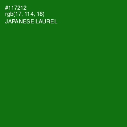 #117212 - Japanese Laurel Color Image