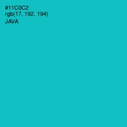 #11C0C2 - Java Color Image