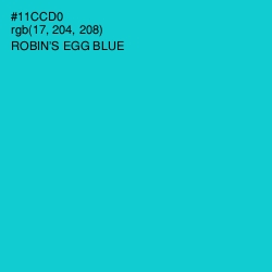 #11CCD0 - Robin's Egg Blue Color Image