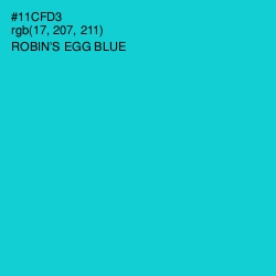 #11CFD3 - Robin's Egg Blue Color Image