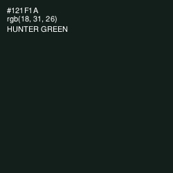 #121F1A - Hunter Green Color Image