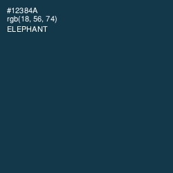 #12384A - Elephant Color Image