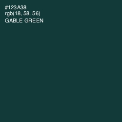 #123A38 - Gable Green Color Image