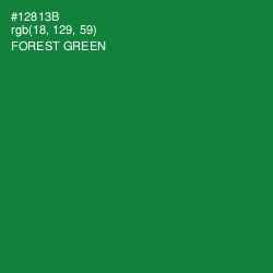 #12813B - Forest Green Color Image