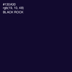 #130A30 - Black Rock Color Image