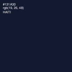 #131A30 - Haiti Color Image