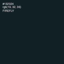 #132024 - Firefly Color Image