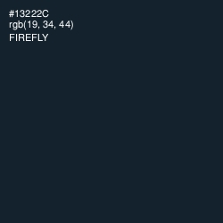 #13222C - Firefly Color Image
