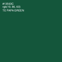 #13563C - Te Papa Green Color Image