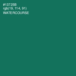 #13725B - Watercourse Color Image