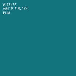 #13747F - Elm Color Image