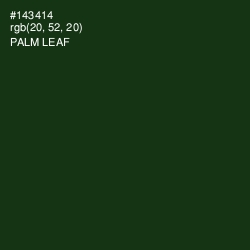 #143414 - Palm Leaf Color Image
