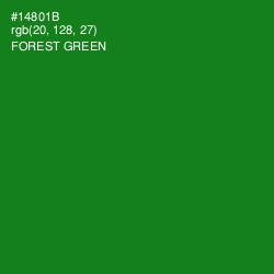 #14801B - Forest Green Color Image