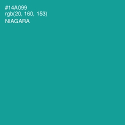#14A099 - Niagara Color Image