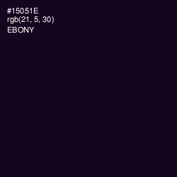#15051E - Ebony Color Image
