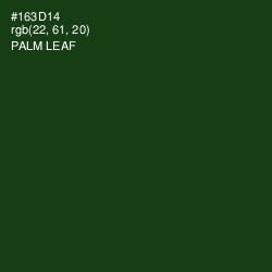 #163D14 - Palm Leaf Color Image