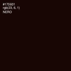 #170601 - Nero Color Image