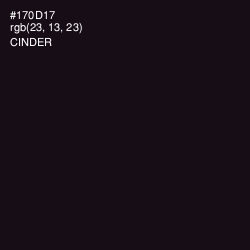 #170D17 - Cinder Color Image