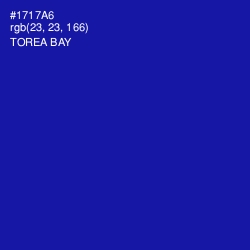#1717A6 - Torea Bay Color Image
