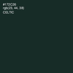 #172C26 - Celtic Color Image