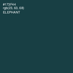 #173F44 - Elephant Color Image