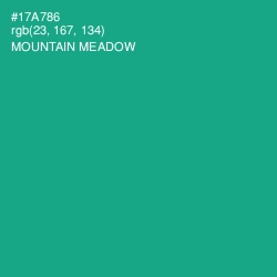 #17A786 - Mountain Meadow Color Image