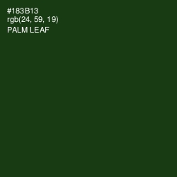 #183B13 - Palm Leaf Color Image