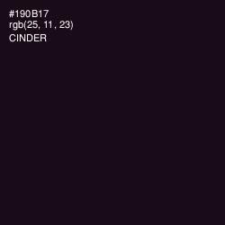 #190B17 - Cinder Color Image