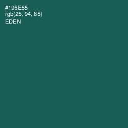 #195E55 - Eden Color Image