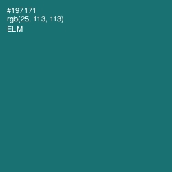 #197171 - Elm Color Image